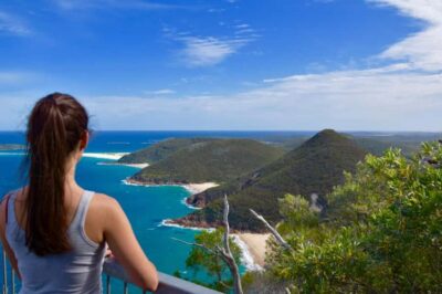 Sydney: Port Stephens Day Trip with Dolphin Cruise or Hike - Meeting at 6:50 AM: why the early start pays off