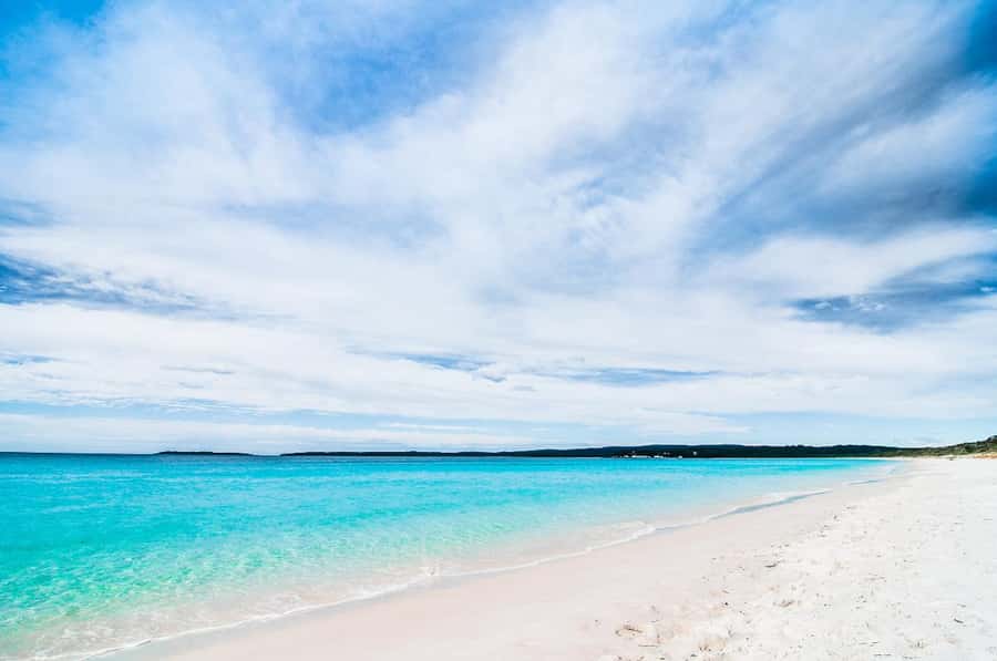 Sydney: Port Stephens Day Trip with Dolphin Cruise or Hike - Dolphin cruise or Mount Tomaree: two Port Stephens moods