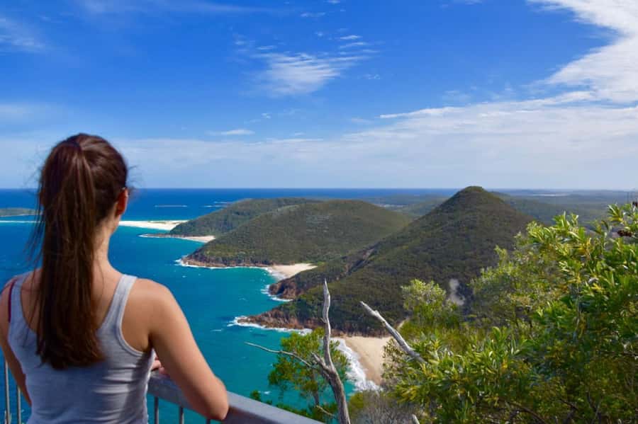 Sydney: Port Stephens Day Trip with Dolphin Cruise or Hike - Meeting at 6:50 AM: why the early start pays off