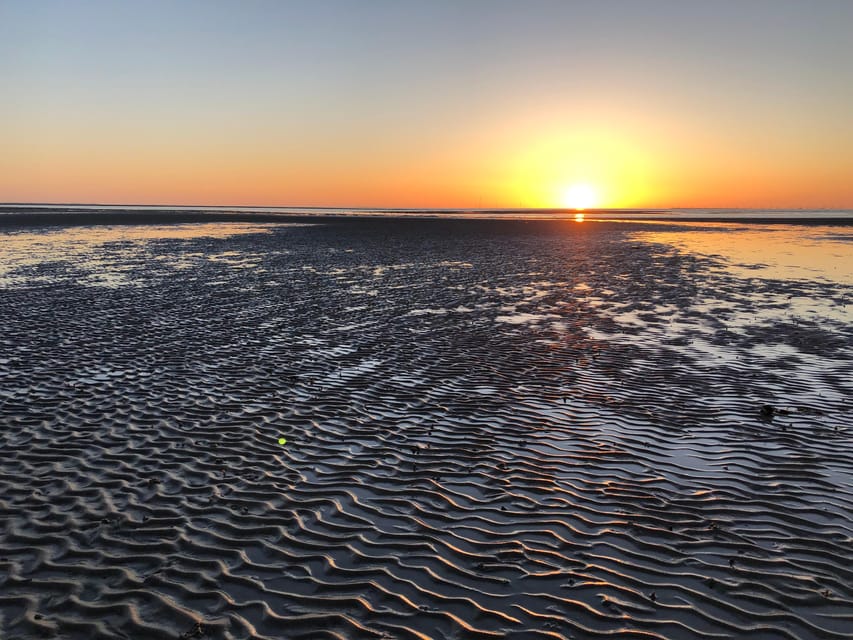 Sylt: Guided Mudflat Hike on the Island - A Two-Hour Walk Out Into the Wadden Sea on Sylt