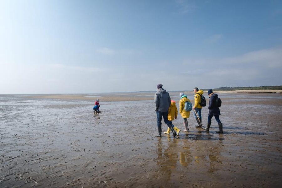Sylt: Guided Mudflat Hike on the Island - Barefoot vs Rubber Boots: Your Real-World Comfort Checklist