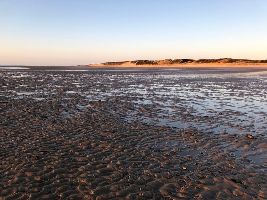 Sylt: Guided Mudflat Hike on the Island - Price and Value: Is $19 for 2 Hours Worth It?
