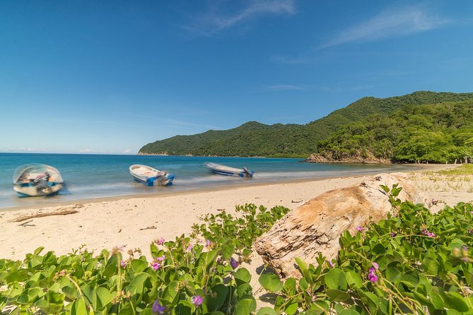 Tayrona Park Hike Tour to Cabo San Juan: Private or Shared - Stop 3: the jungle trail to Tayrona beach stretches (where the views earn the steps)