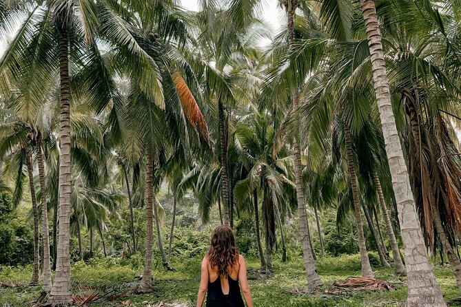 Tayrona Park Hike Tour to Cabo San Juan: Private or Shared - Start early in Santa Marta: the timing trick that saves the day