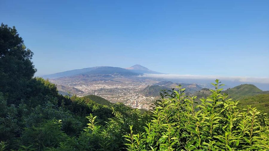 Tenerife Anaga Mountains: Circular Hike in the Laurel Forest - Small Group 10-12 P - First stop: Meeting at the Anaga crossroads near 1,000 m