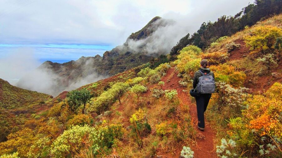 Tenerife: Anaga Mountains & Enchanted Forest Hiking Tour - Anaga Mountains: why the forest feels like Tenerife’s other side