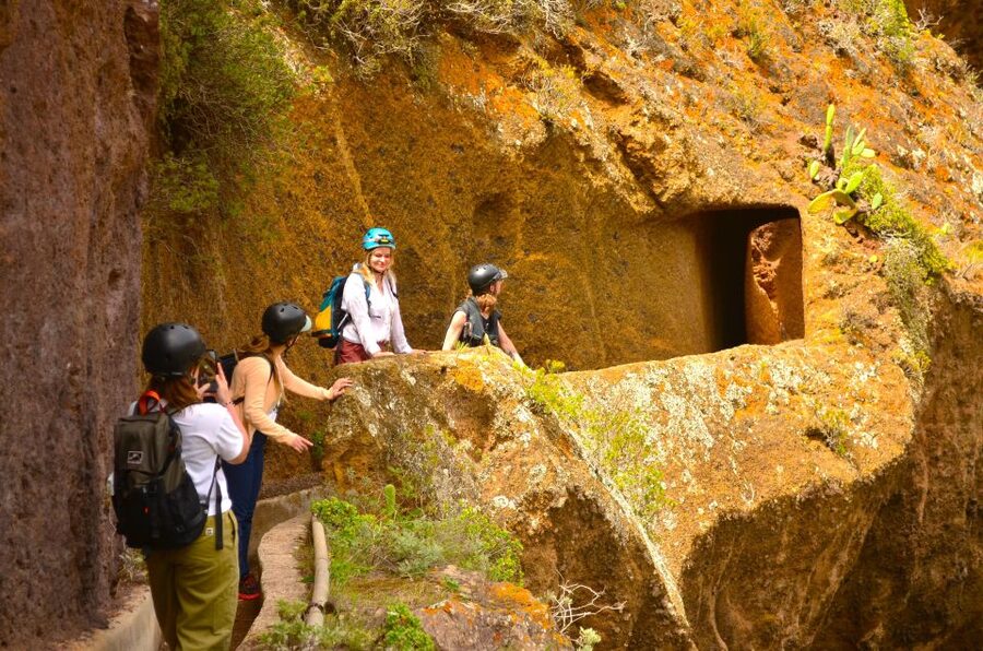 Tenerife: Anaga Mountains & Enchanted Forest Hiking Tour - Scenic drives and viewpoints: chasing clouds without the headache