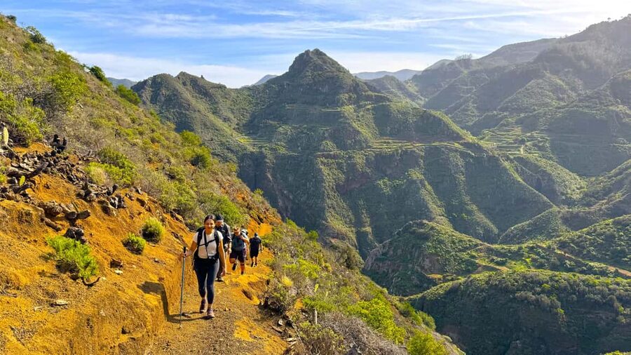Tenerife: Anaga Mountains & Enchanted Forest Hiking Tour - What you really get for $122: value math that makes sense