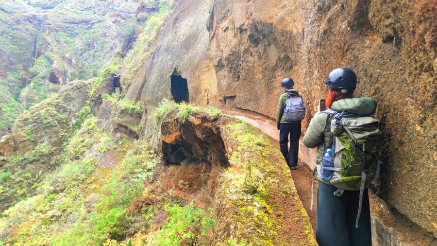 Tenerife: Anaga Mountains & Enchanted Forest Hiking Tour - Pickup and timing: a cruise-friendly Tenerife plan