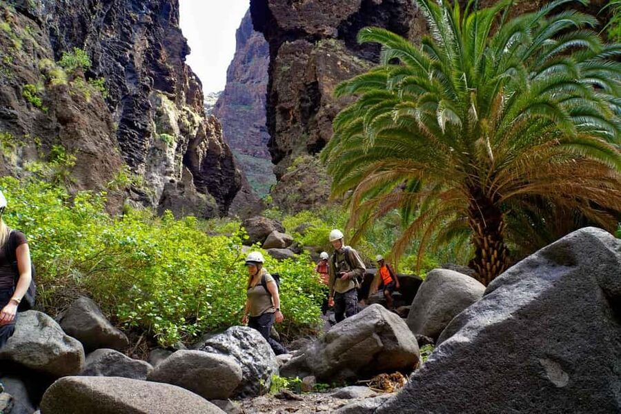 Tenerife Barranco de Masca: Guided hike + boat ride + transport - Key highlights worth knowing before you go