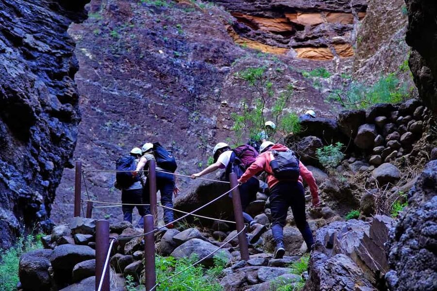 Tenerife Barranco de Masca: Guided hike + boat ride + transport - Price and value: is $171 per person actually fair?