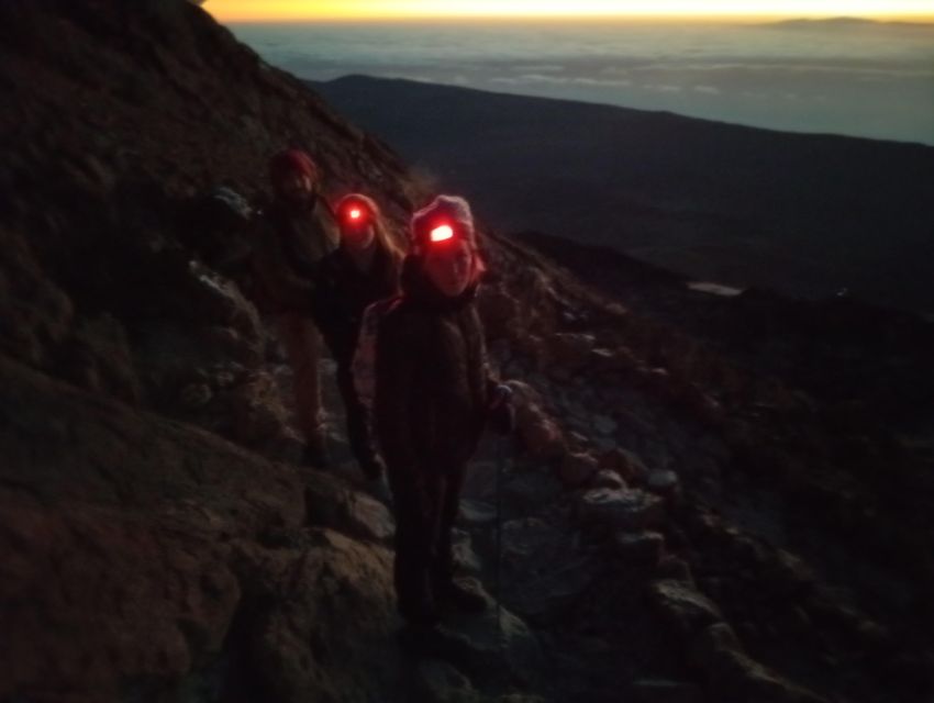 Tenerife: Guided Hike to the Peak of Mount Teide - Cable car descent vs. walking down: know the trade-off