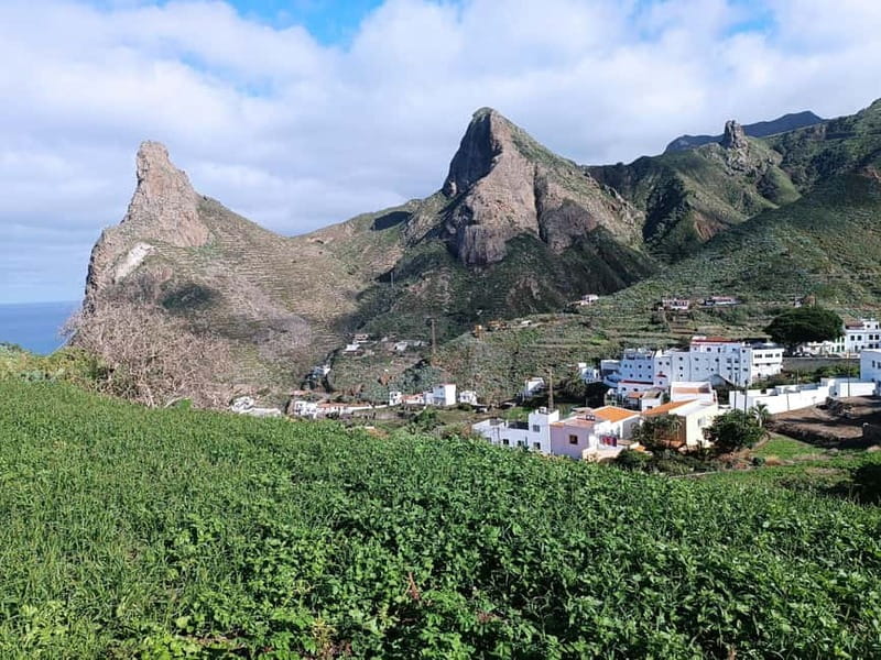Tenerife Hidden Gem: Anaga Hike, Bajamar Pools & Cocktail - Anaga forest on the Path of the Senses: an hour that slows your brain down