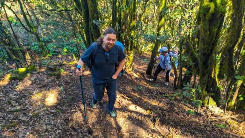 Tenerife: Hike Above Masca in Enchanted Forest with Pick-up - Free pickup on Tenerife South: where the van meets you