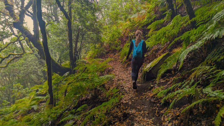 Tenerife: Hike Above Masca in Enchanted Forest with Pick-up - Chinyero lava and Masca Gorge: geology in plain language