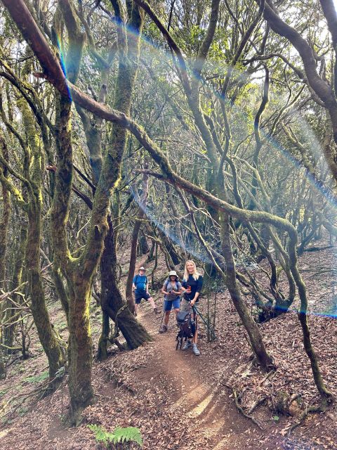Tenerife: Hike Above Masca in Enchanted Forest with Pick-up - Four climate zones in one hike: pacing and terrain you can handle