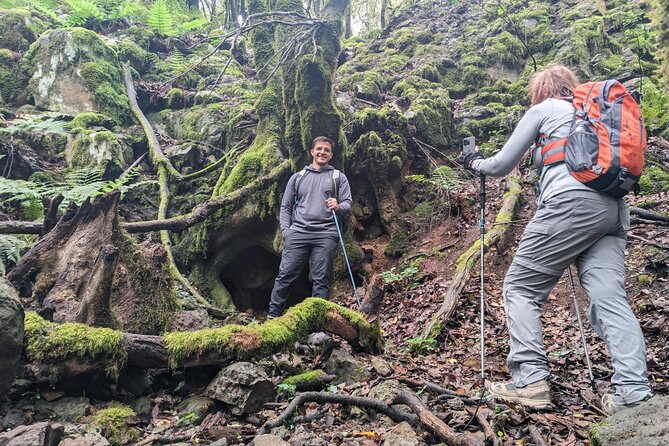 Tenerife: Hiking through Enchanted forest Above Masca with PICKUP - Pickup and Timing: The Part That Can Make or Break Your Day