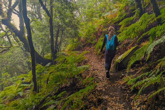 Tenerife: Hiking through Enchanted forest Above Masca with PICKUP - The High Ridge Above Masca: Valley, Cliffs, and Far-Off Islands