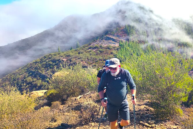 Tenerife: Hiking through Enchanted forest Above Masca with PICKUP - Picnic in the Wild: Fueling Up Without Turning It Into a Restaurant Stop