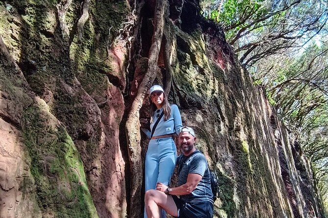 Tenerife: Hiking Tour in Anaga Mountains and Enchanted Forest - Key highlights you’ll feel the moment you arrive