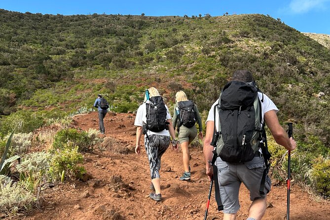 Tenerife: Hiking Tour in Anaga Mountains and Enchanted Forest - Pickup at 9:00 and the drive that sets expectations