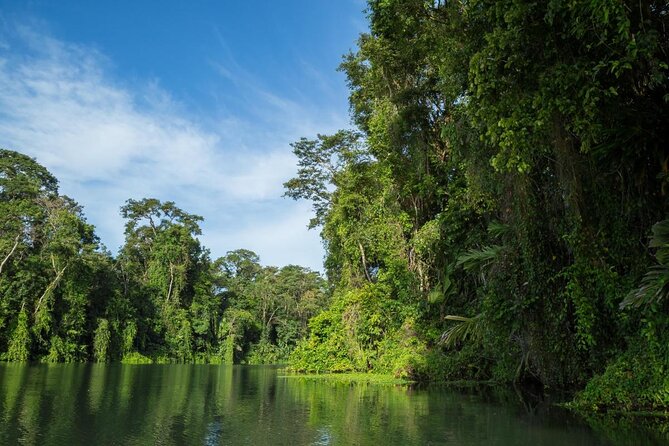The best of Tortuguero: Canoe, hike and night tour (turtle in Jul-Oct) - Key Highlights You’ll Feel Right Away