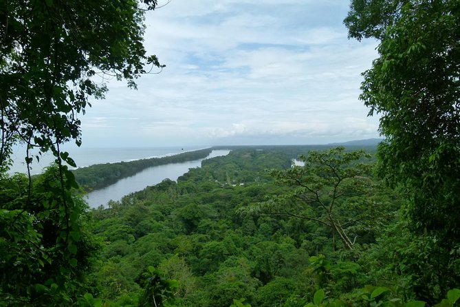 The best of Tortuguero: Canoe, hike and night tour (turtle in Jul-Oct) - 5:30am Pickup at Aracari Garden: How to Prepare Without Fuss