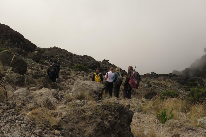 The Best & Unique Kilimanjaro Hiking tour 7 days Machame route - Day 3: Shira 2 to Lava Tower and down to Barranco (big altitude drama, shorter hours)