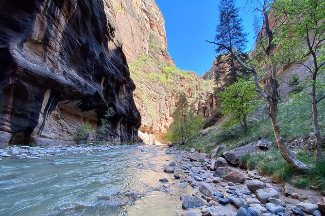 The Narrows: Zion National Park Private Guided Hike - Going upstream without getting worn out