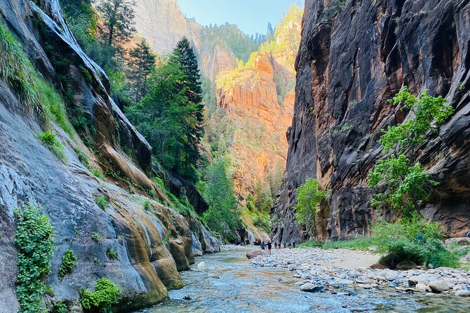 The Narrows: Zion National Park Private Guided Hike - From Temple of Sinawava into the Virgin River