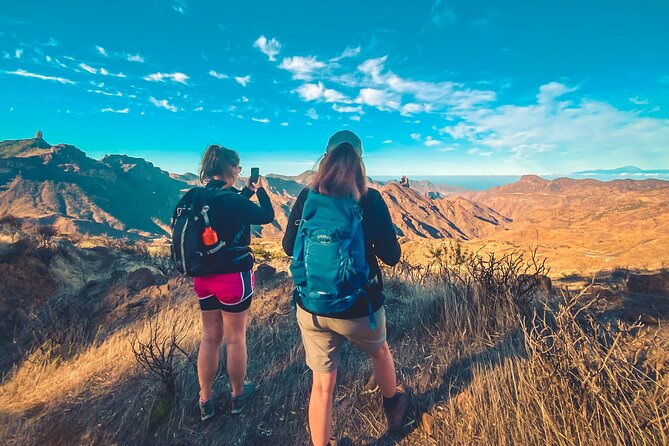 The Volcano Heart Tour: Hiking, Tasting and Sunset Experience - How to decide if this tour fits you
