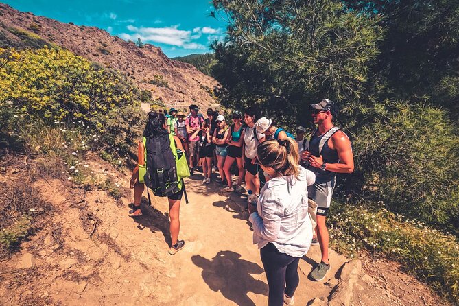 The Volcano Heart Tour: Hiking, Tasting and Sunset Experience - Pickup, timing, and the one real complication: weather
