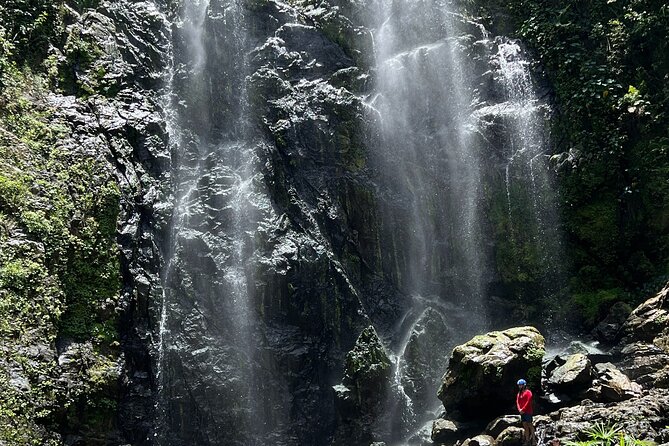 The Waterfall Adventure: Hiking in Paradise - Waterfall Time at Charco Prieto: Swimming, Photos, and Cooling Off