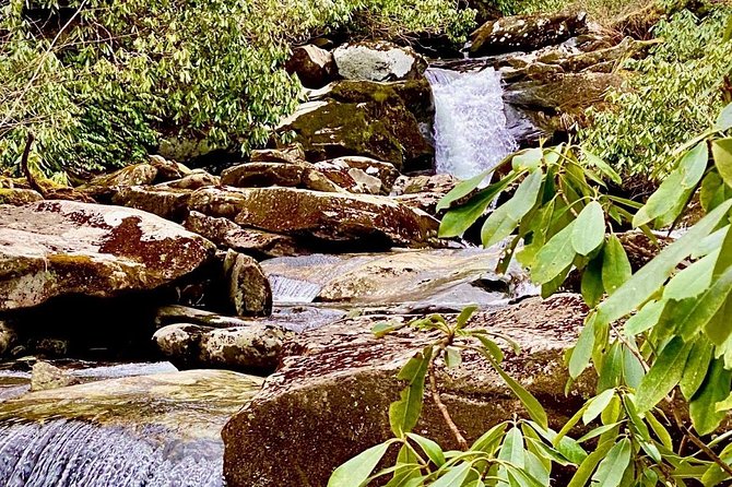 Thundering Streams and Falls of the Smokies Guided Hiking Tour - Quick hits before you hike