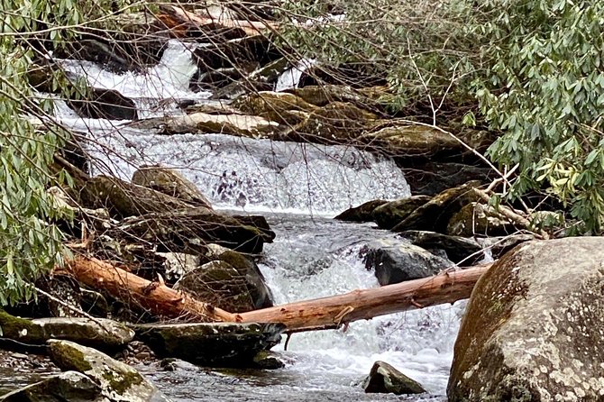 Thundering Streams and Falls of the Smokies Guided Hiking Tour - The hike’s “wow” factor: cascades, falls, and quieter forest