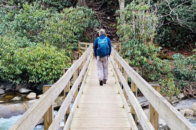 Thundering Streams and Falls of the Smokies Guided Hiking Tour - Price and value: what $77 buys you (and what it doesn’t)