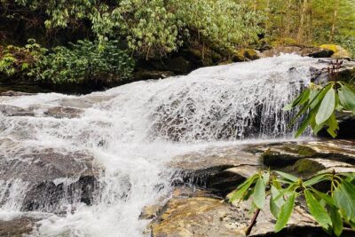 Thundering Streams and Falls of the Smokies Guided Hiking Tour - Newfound Gap Road: the scenic breather between trails