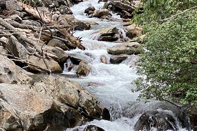 Thundering Streams and Falls of the Smokies Guided Hiking Tour - Logistics you can handle: ending at Chimney Tops Trailhead