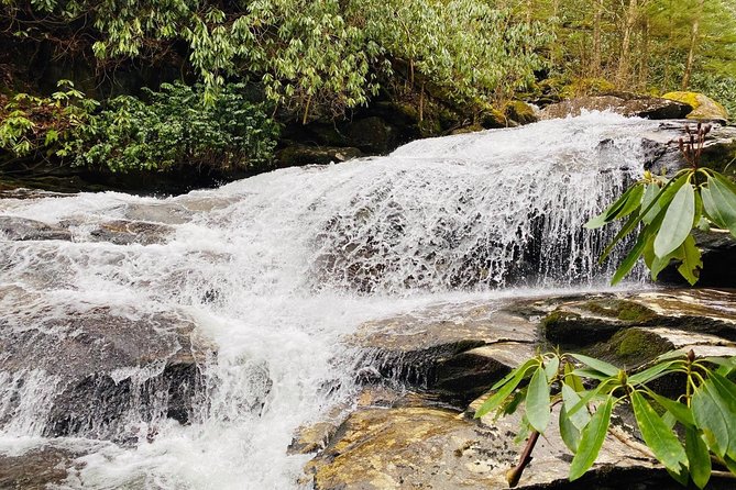Thundering Streams and Falls of the Smokies Guided Hiking Tour - Newfound Gap Road: the scenic breather between trails