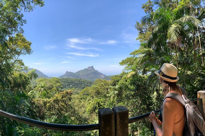 Tijuca Forest Hike - Waterfalls & Caves, Nature & Wild Life! - Key highlights you’ll care about