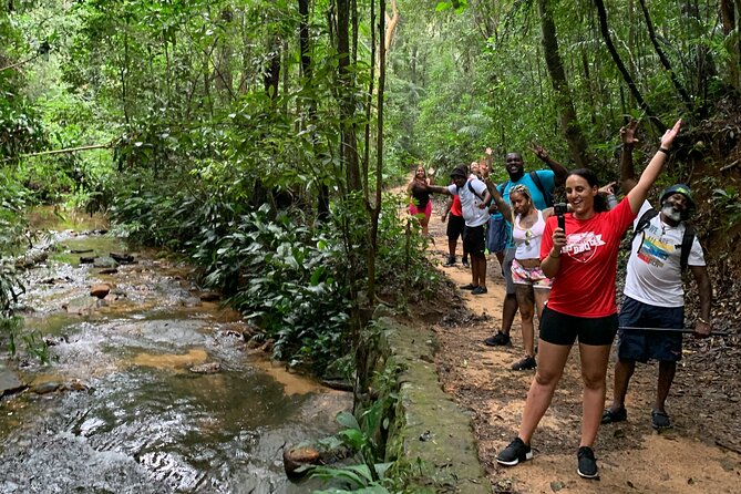 Tijuca Forest Hike - Waterfalls & Caves, Nature & Wild Life! - Tijuca National Park: what makes this hike feel different in Rio