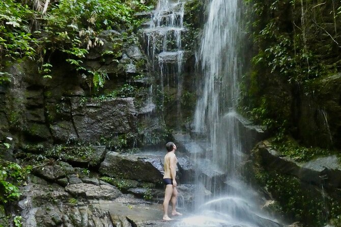 Tijuca Forest Hike - Waterfalls & Caves, Nature & Wild Life! - Cachoeira das Almas: your first real cooling stop