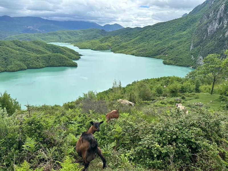 Tirana: Bovilla Lake & Gamti Mountain with SUV, No-Hiking - Second look at Lake Bovilla: plan for lingering, not just passing through