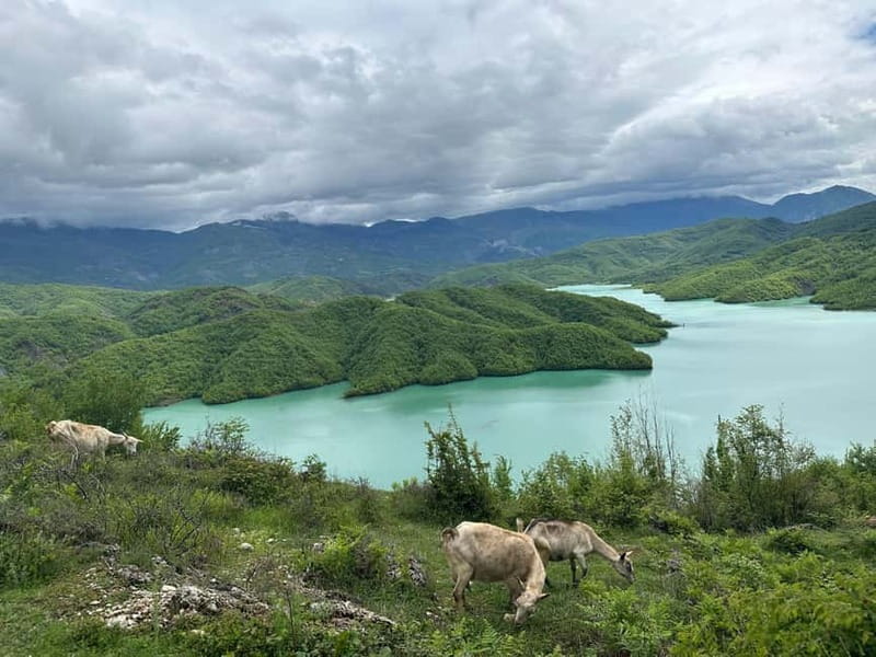 Tirana: Bovilla Lake & Gamti Mountain with SUV, No-Hiking - What’s included, what isn’t, and the stuff you must pack