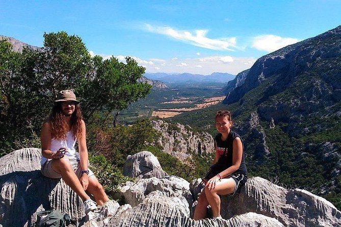 Tiscali mount guided hike - Nature notes you’ll pick up: rare trees and animals by night