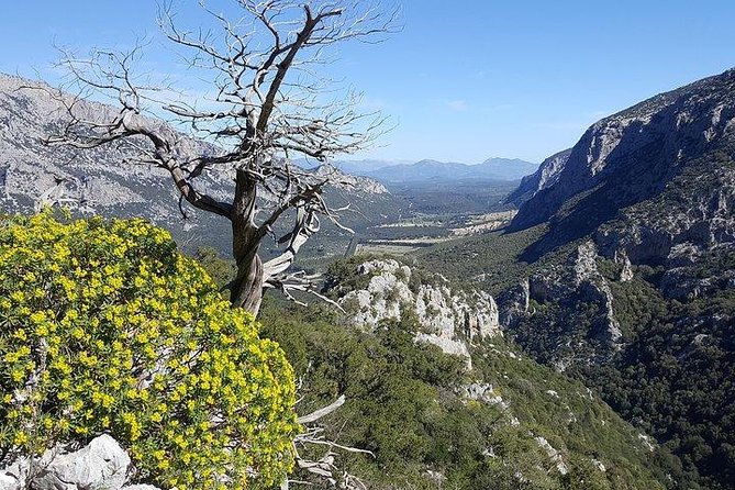 Tiscali mount guided hike - Should you book the Tiscali mount guided hike?