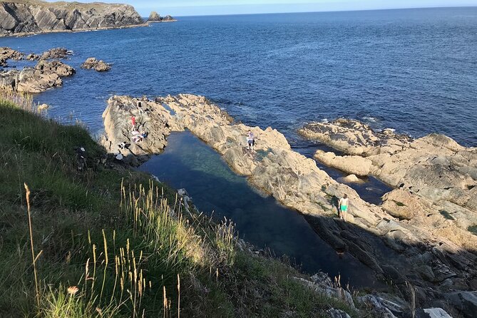 Toe Head Clifftop Hike in West Cork - Móin Rua heathland and the wild-orchid moment