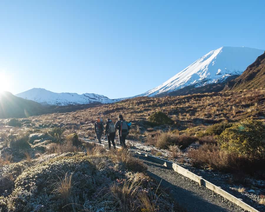 Tongariro Alpine Crossing: Premium Guided Hike - Key Things I Think You’ll Care About