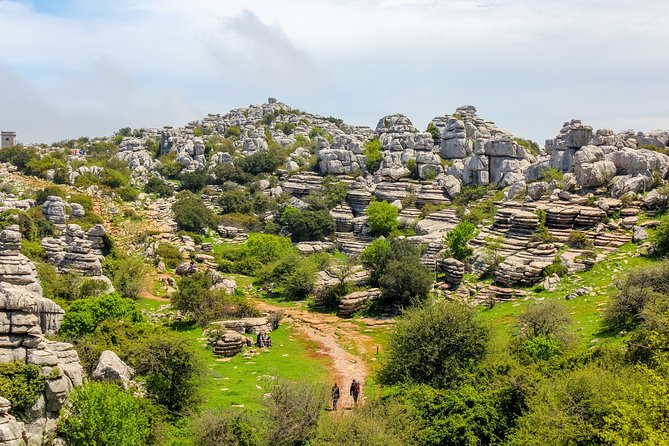 Torcal de Antequera Hiking Tour from Málaga - What You’ll Spot: Ammonites, Mountain Goats, and Griffon Vultures
