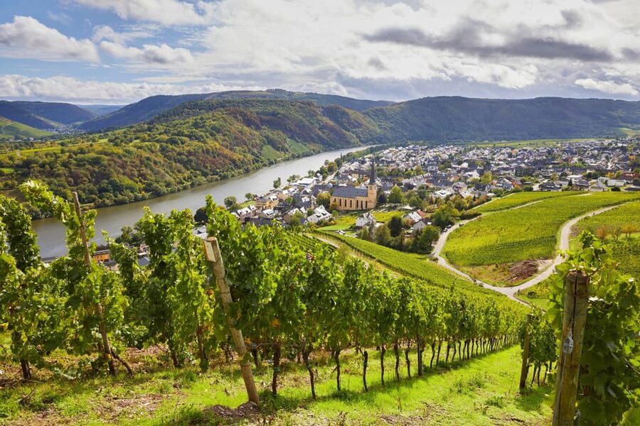 Traben-Trarbach / Bernkastel-Kues, Moselle: Wine experience hike - Key Highlights You Can Plan Around